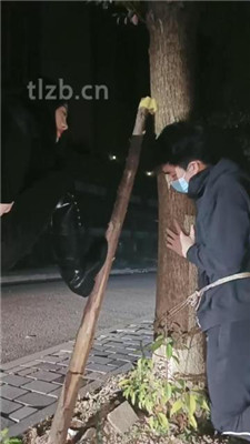 图片[10]_【昭玥】夜调-开车遛狗/骑马钻胯/绑树耳光_HD绳艺资源