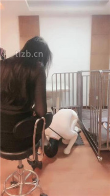 【如梦】狗笼圈养囚禁_HD绳艺资源