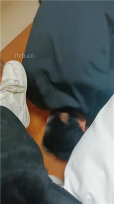【林十七】运动后原味鞋袜羞辱_HD绳艺资源