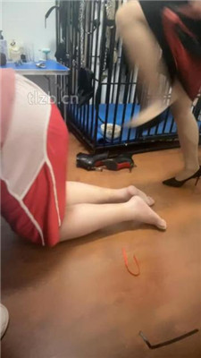 图片[15]_【小冷猫】骑马/踩狗爪/绳子拴狗脖/踩踏_HD绳艺资源