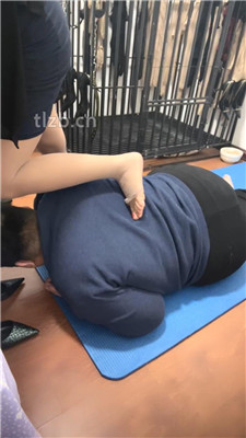 图片[15]_【冰色】肥奴闻舔高跟肉丝脚/揪耳朵踩踏_HD绳艺资源