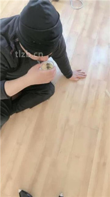 图片[12]_【猫咪大大】真实圈养狗-舔脏鞋底/吃剩饭剩菜/开发圣水_HD绳艺资源