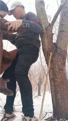 图片[2]_【卡罗琳】户外冰天雪地调-绳艺技巧棍棒重度sp_HD绳艺资源