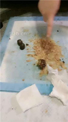 图片[11]_【素人星探】20分钟不间断呕吐物_HD绳艺资源