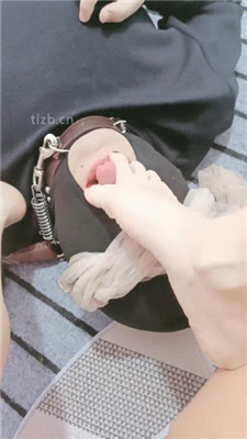 图片[13]_【bibi团】仔细品尝肉丝高跟_HD绳艺资源