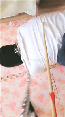 图片[8]_【蓝蜻蜓】藤条训练/骑马爬行_HD绳艺资源