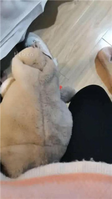 图片[5]_【晓安】骑狗脖/转胯/裸足恋足舔_HD绳艺资源