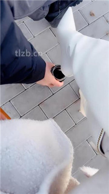 图片[8]_【苒溪】公园开发相亲男做狗_HD绳艺资源