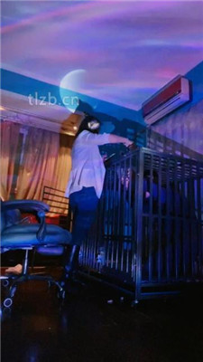 图片[5]_【语阳】狗笼圈养驯化前任_HD绳艺资源