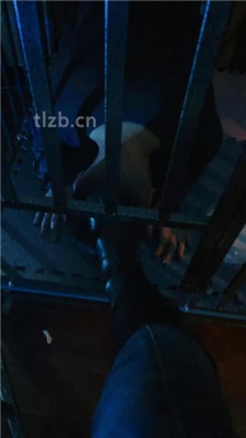 图片[8]_【语阳】狗笼圈养驯化前任_HD绳艺资源