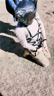 图片[4]_【若澜女主】户外窒息狗/踩踏被玩晕_HD绳艺资源