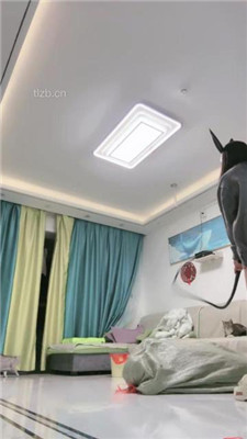 图片[6]_【月影儿】网购一个发泄玩具重刑撒气_HD绳艺资源