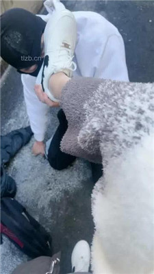 图片[6]_【酒鸽】大冬天户外遛狗虐_HD绳艺资源