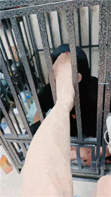 图片[7]_【木子大大】品尝主人的肉丝jio/囚禁狗笼/腿绞踩踏_HD绳艺资源