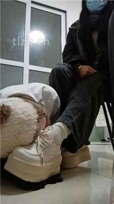 图片[3]_【爱可呀】母畜-清理脏鞋/闻棉袜/对鞋磕头/袜子塞嘴_HD绳艺资源