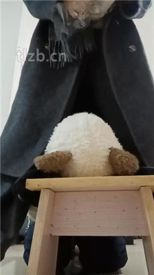 图片[11]_【爱可呀】母畜-清理脏鞋/闻棉袜/对鞋磕头/袜子塞嘴_HD绳艺资源