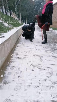 图片[2]_【乐爷】野外-冰天雪地-遛狗_HD绳艺资源