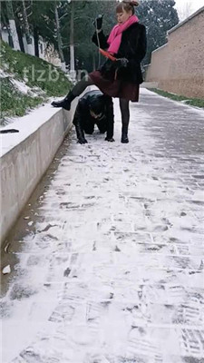 图片[5]_【乐爷】野外-冰天雪地-遛狗_HD绳艺资源