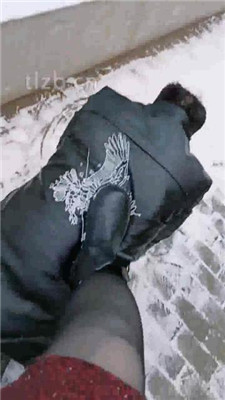 图片[8]_【乐爷】野外-冰天雪地-遛狗_HD绳艺资源