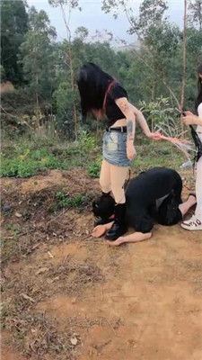 图片[2]_【阳阳】双S-户外-舔泥巴脏鞋/骑马狗链遛狗/训练_HD绳艺资源