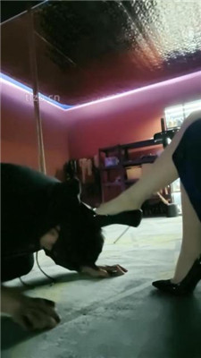 图片[2]_【咩祖】肉丝脚狂舔/高跟踩狗舌/清理脚趾/臭脚捂脸_HD绳艺资源