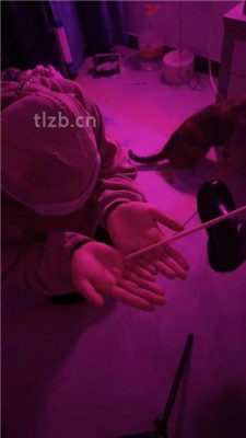 图片[2]_【璐璐大王】圈养M跪舔长靴踩踏/重度sp_HD绳艺资源