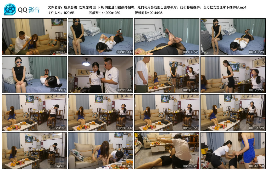 【胜景影视】 劫案惊魂 三 下集_HD绳艺资源