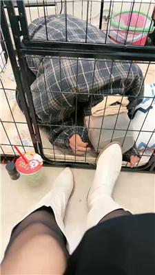 【佳佳】圈养狗笼/圣水泡面/高跟黑丝踩虐 bf46798_HD绳艺资源