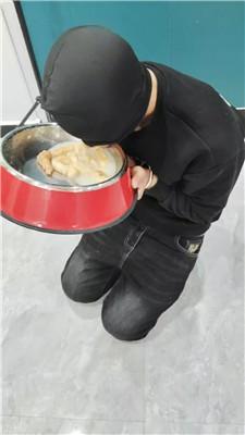 【宝宝大人s】刑架枷锁囚禁-重度训练-狗盆喂食 JS250109-13_HD绳艺资源