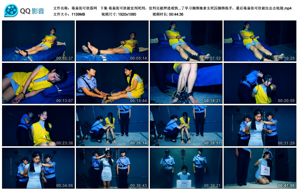 【胜景影视】 毒枭张可欣落网  下集_HD绳艺资源