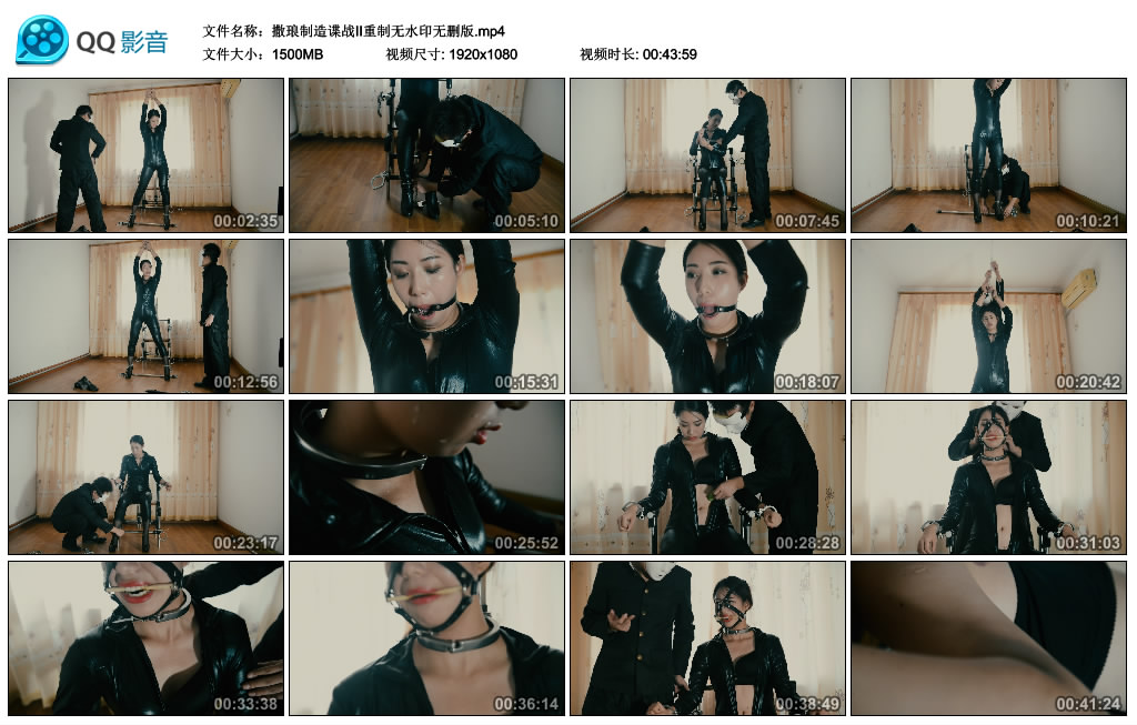 撒琅制造  谍战II重制无水印无删版_HD绳艺资源