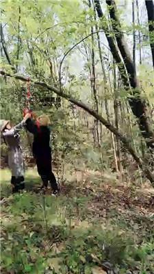 漂漂 户外吊绑重度训练 JS250401-25_HD绳艺资源