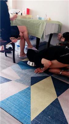 白狐 狗盆喂食专场 JS250503-6_HD绳艺资源