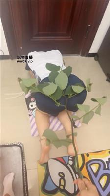 饭饭 白棉袜玩虐闺蜜犬 JS250503-30_HD绳艺资源