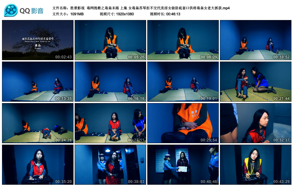 胜景影视  毒网挽歌之毒枭末路 上集_HD绳艺资源