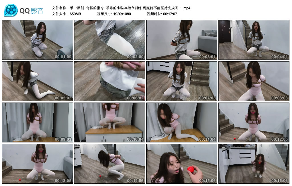 禾一原创 奇怪的指令 乖乖的小猫咪指令训练 到底能不能坚持完成呢_HD绳艺资源