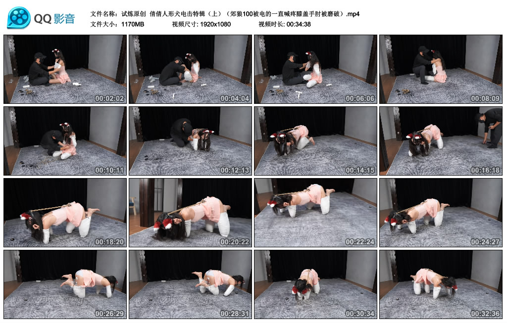 试炼原创  倩倩人形犬训练特辑（上）郊狼100被电的一直喊疼膝盖手肘被磨破_HD绳艺资源