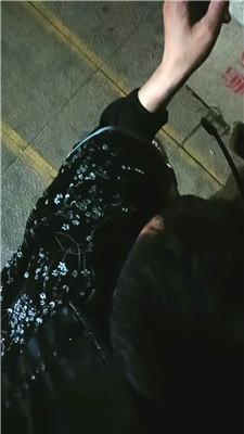 珍惜女王 户外拴狗链遛狗 JS250512-13_HD绳艺资源