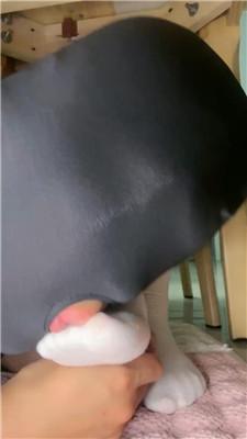 观月 桌底视角-白袜羞辱 JS250526-16_HD绳艺资源