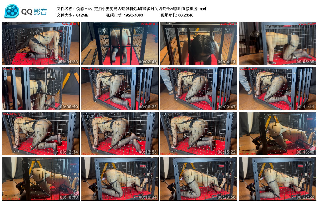 悦感日记  定拍小美狗笼囚禁艺术炮J滴蜡多时间囚禁全程惨叫直接虚脱_HD绳艺资源