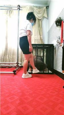 沐颜 绳艺技巧囚禁狗笼虐 JS250614-45_HD绳艺资源