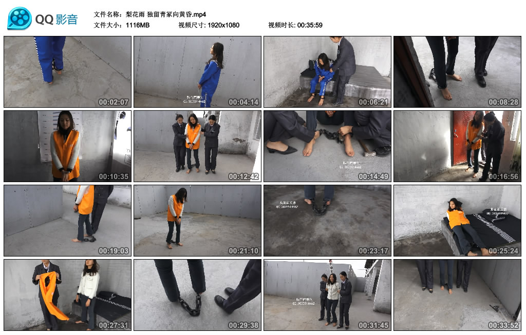 梨花雨 独留靑冢向黄昏_HD绳艺资源