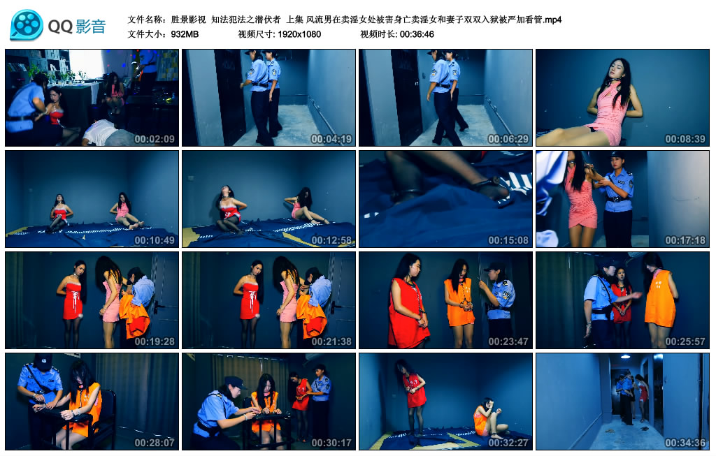 胜景影视 知法犯法之潜伏者 上集_HD绳艺资源