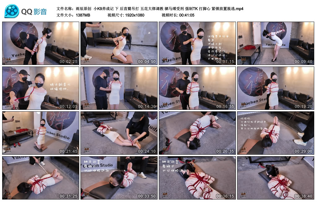 雨辰原创 小K9养成记（下）_HD绳艺资源