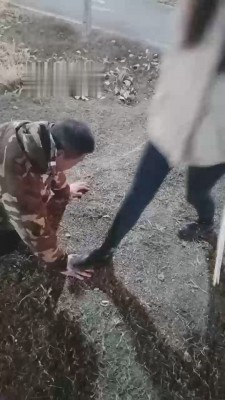 【重度刑奴】素人姐姐户外遛狗 bf22195