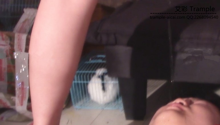 【叮王朝】现实夫妻主调教 17319-3