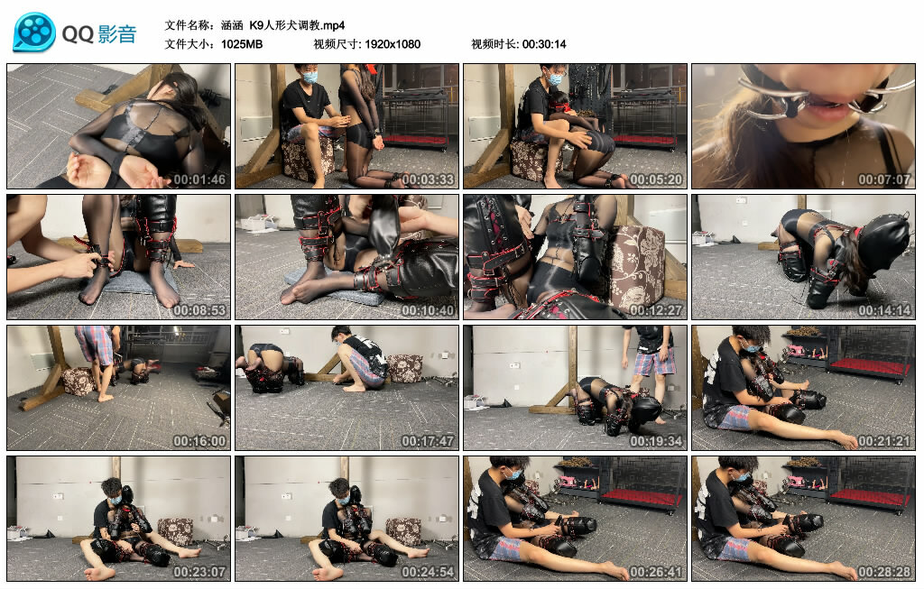 【涵涵】K9人形犬_HD绳艺资源