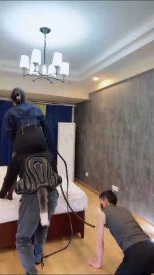 【潘妮女王】重度刑虐追求者 bf23542