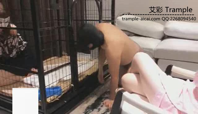 ViVi， 狗洞房