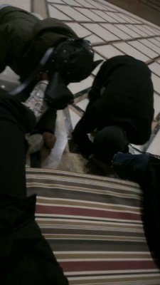 【桃幼幼】学生主户外溜双狗 bf23005_HD绳艺资源